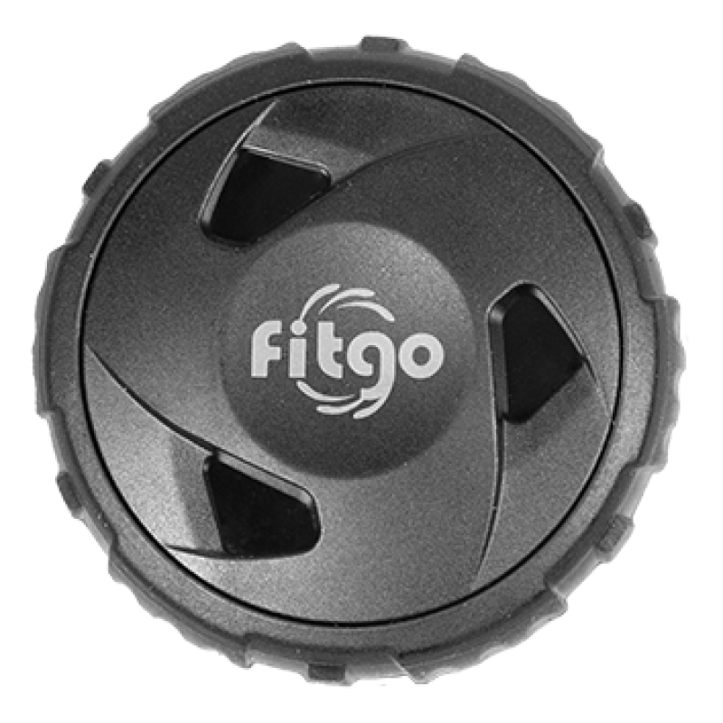 FITGO